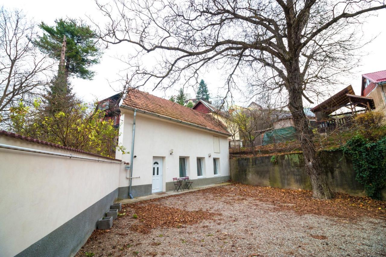 Crisan Residence - Vila Crisan Braşov Eksteriør bilde